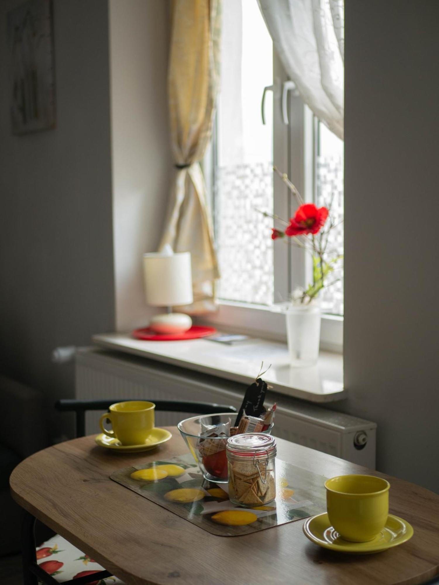 Apartament Przy Synagodze Przemysl Bagian luar foto
